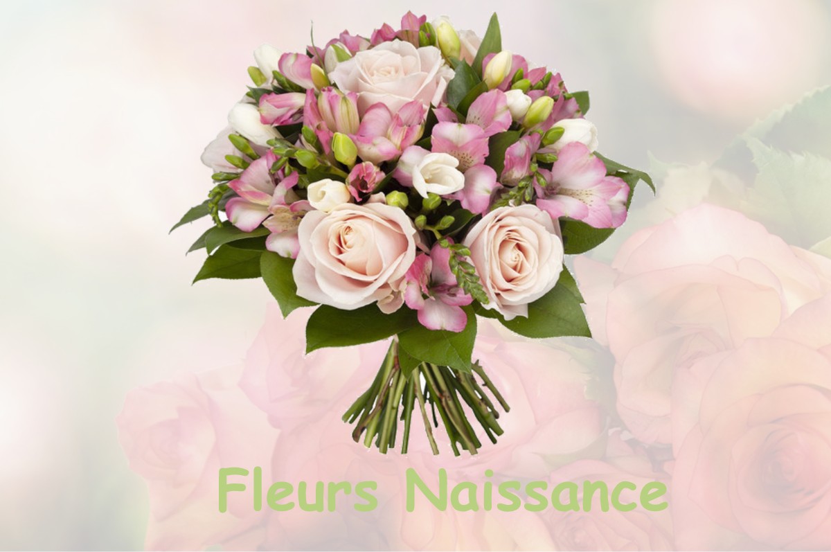 fleurs naissance SAINTE-CATHERINE-DE-FIERBOIS